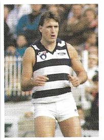 1991 Select AFL Stickers #133 Tim Darcy Front